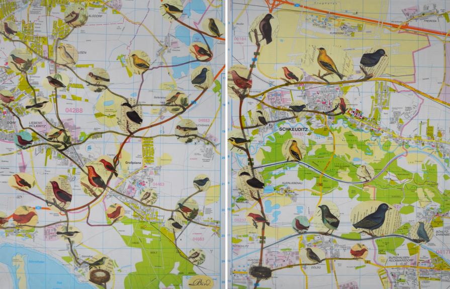 Birds and maps