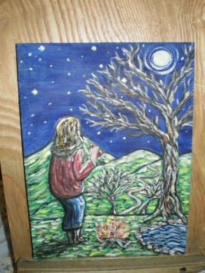 Osservando la luna in una notte stellata