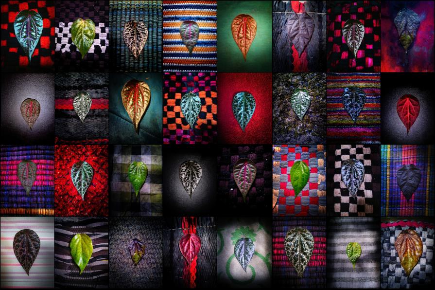 The Sign of Transformedic The Sign of Transformedic