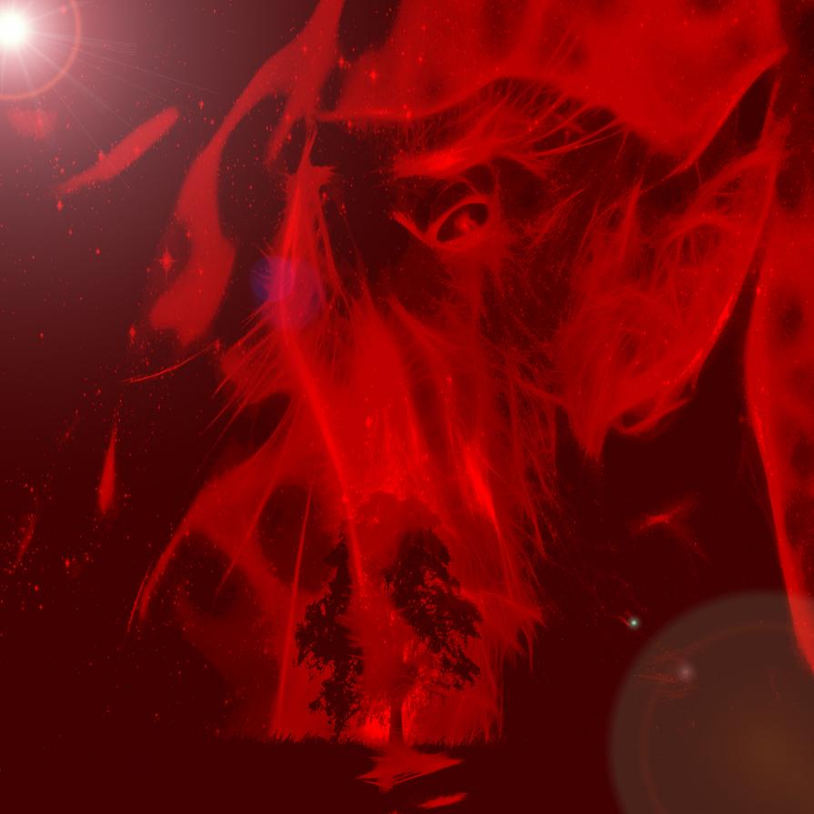 CHE SIA SOTTO UN CIELO STELLATO O UN CALDO SOLE ..TU NON SMETTERE MAI DI DESIDERARE !!!