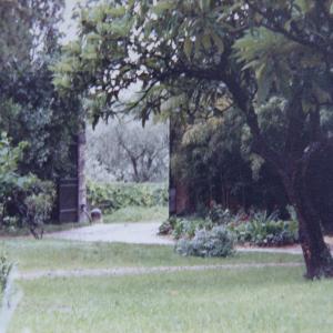 Giardino della casa negli anni '80.