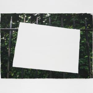 Image of the Original