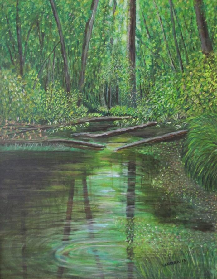 Sottobosco parco del Ticino