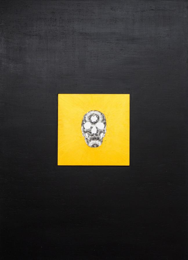 Macá de Atitlán (Podilymbus gigas) Macá de Atitlán (Podilymbus gigas)