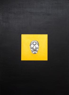 Macá de Atitlán (Podilymbus gigas)