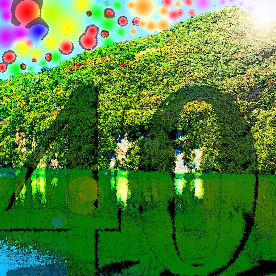 CON I MIEI MILLE SACRIFI . . . CON I MIEI MILLE SACRIFI . . .