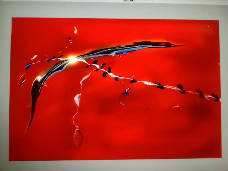 Tutte le ferite vanno sutturate. 