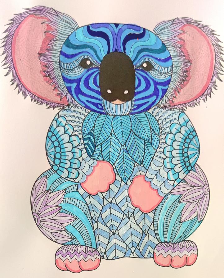 Sii come un koala: sii timido ma forte....