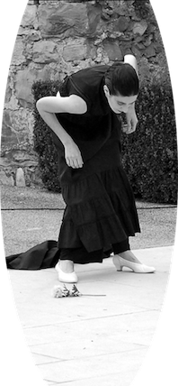 * IL D A N Z A T O R E * * IL D A N Z A T O R E *