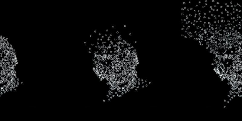 HIDDEN FACES/volti nascosti