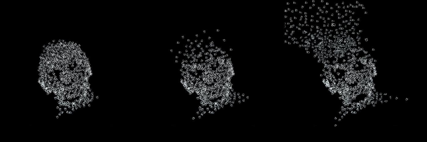 HIDDEN FACES/volti nascosti