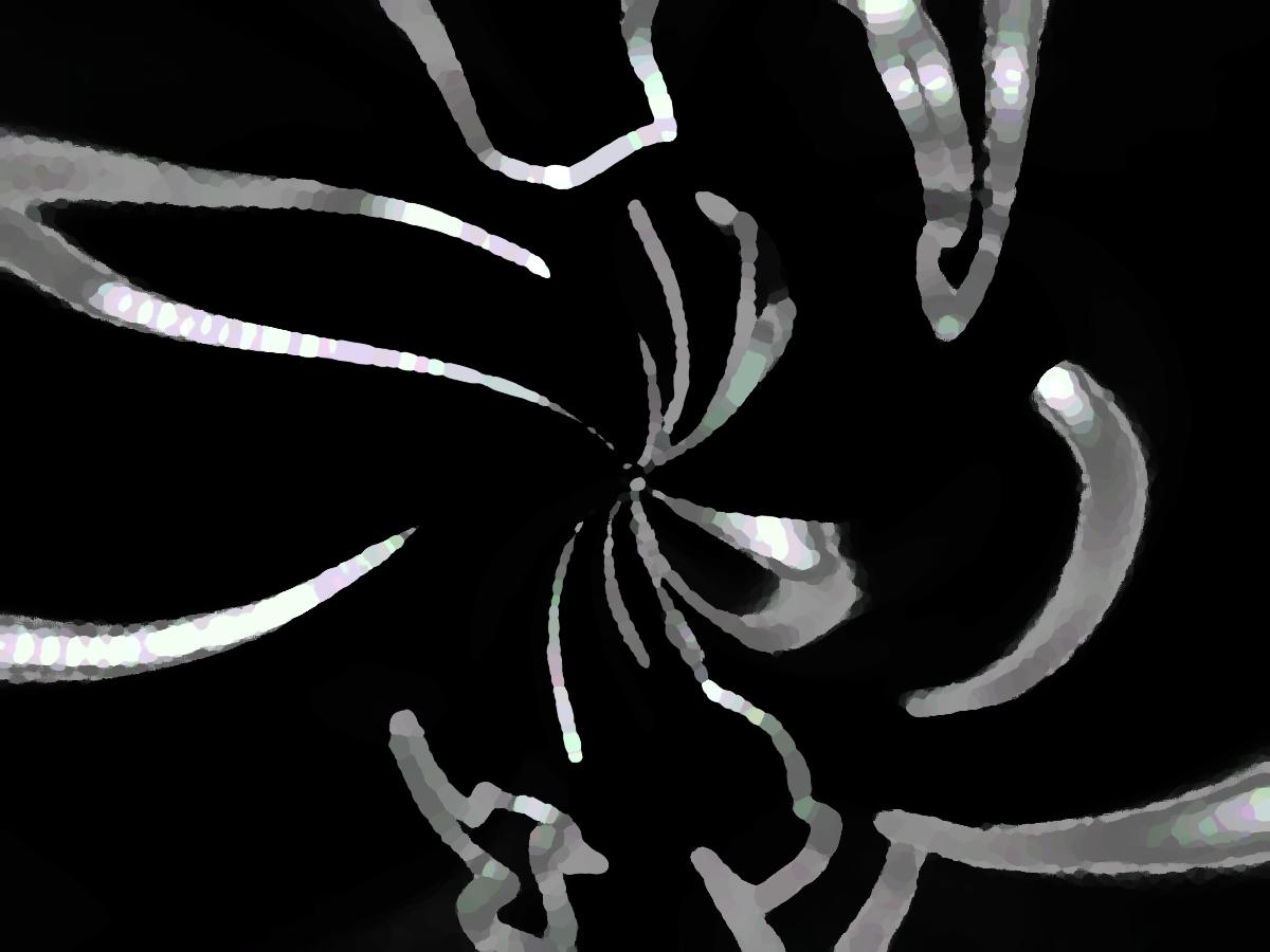 Collettiva "Paesaggi di guerra", Premio Quartissimo 2009