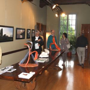 Natura:Luci e Ombre a Modena.