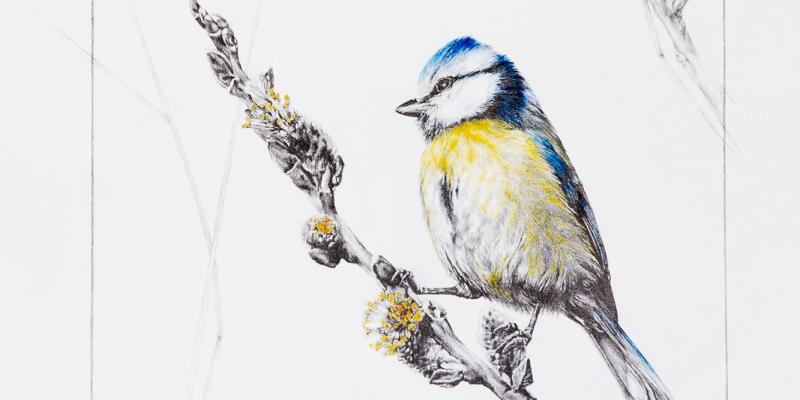 Esposizione opere del concorso Maria Vittoria Croce, la Natura con gli occhi del cuore