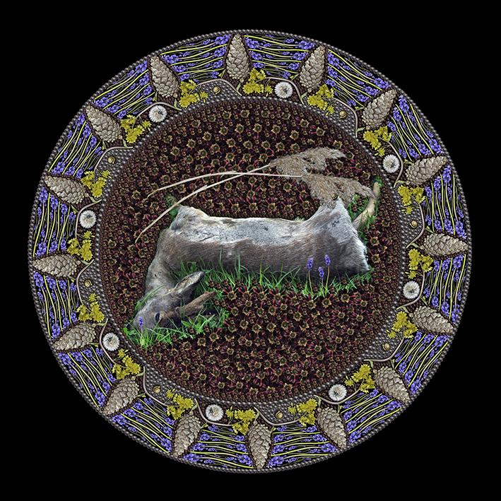 Free Online Visual Artist Promotion 