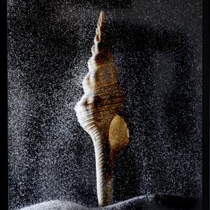 Palazzo Ducale di Revere dal 1° Luglio.