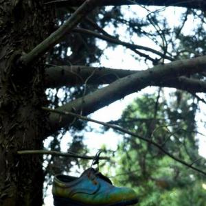 IN/DIVENIRE: MOSTRA COLLETTIVA (3/18 giugno 2016 - Galleria Idearte, Potenza)