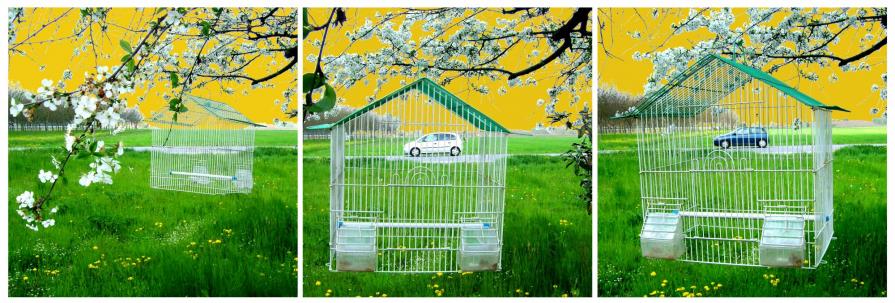 Human condition ( trittico)