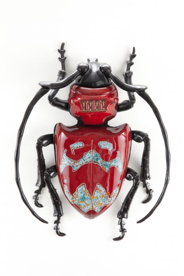 calostema militiforme rubra. subject two:Pelidnota bigliata calostema militiforme rubra. subject two:Pelidnota bigliata