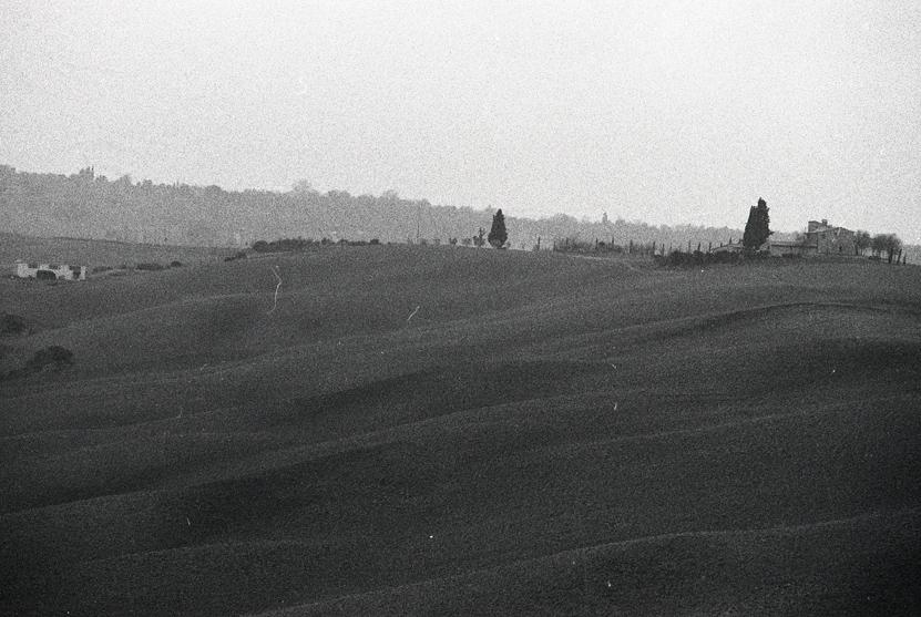 Colline Senesi - Tuscany -