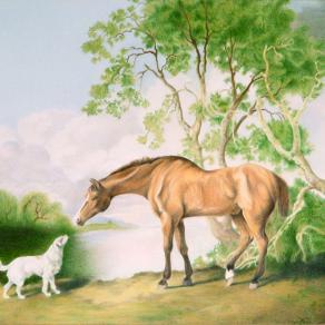 Cavallo baio e cane bianco 