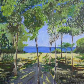 Pineta, spiaggia di Furnari