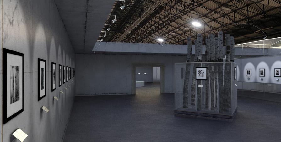 "Metamorfosi dell' Io"