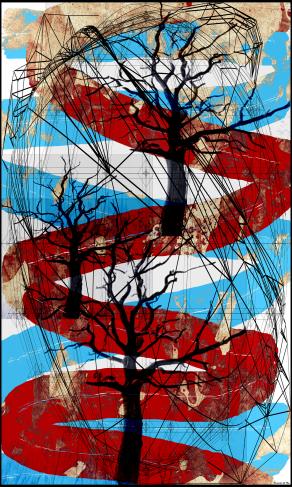 La Via Degli Alberi Morti - AlternativeVision