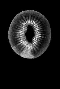 Eleonora Cerri Pecorella - DI-SEGNI