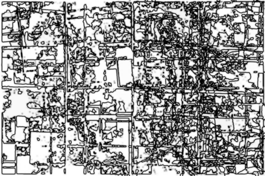 Tentativo cibernetico di ristabilire un ordine urbano 
