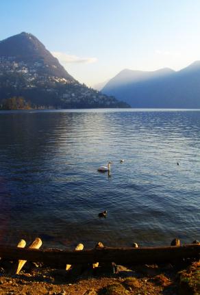 ...I VIAGGI DI TANYA (80)... 