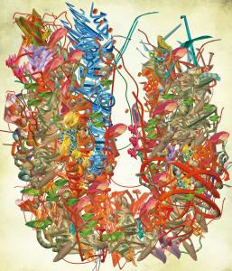 Ryota  Matsumoto - Optical Counterpoints Attributed to Surface Topography in Clustered Forests