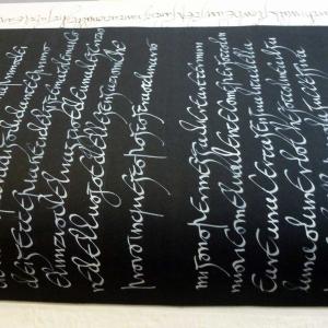 Libro Luna Libro Luna