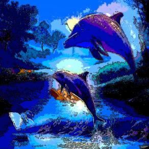 . . . Meravigliosa confusione !!! . . . 