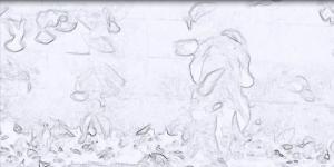 Paula Haapalahti - The Birdman, what is the story ?