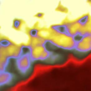 L'isola che non c'è