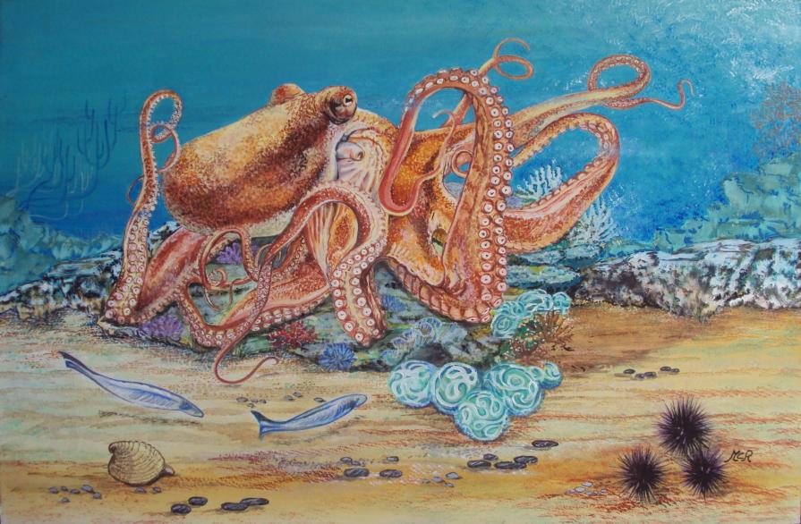 Tentacoli
