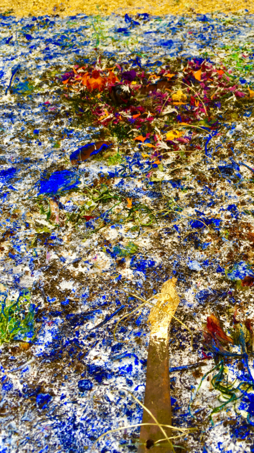 DNA BETWEEN HUMAN AND NATURE 