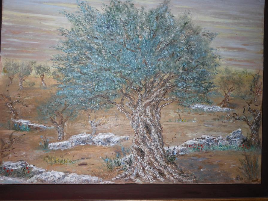olive trees 