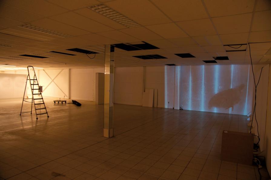 Titel: Hierarchy rules & RAW Material - video Installation overview1