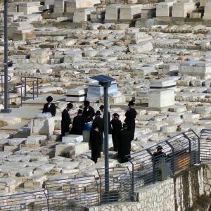 "Punctuation marks in a sentence of Eternity"- the video art , 2014