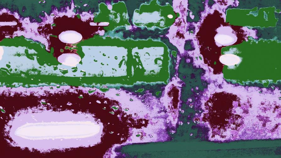 Cervelli Spapolati dhdudjenjsiidowksndudsdididjgqyqiwonzhd&÷€×€■○{\