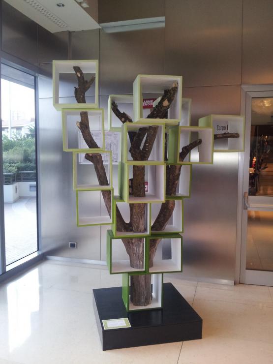 l'albero della (tua) vita