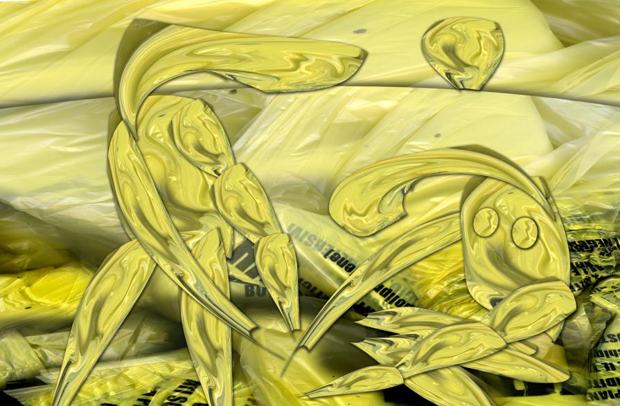 donna non è successo niente,ti aiuto io a fare la differenziata.per un mondo migliore.