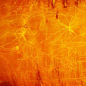 Utopia contemporanea10