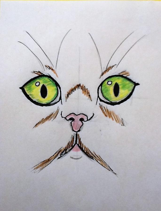 Io non mi meraviglio affatto quando il gatto fa qualcosa di misterioso, mi meraviglio quando fa cose normali !!!