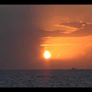 Crepe - soliloqui Aquarius