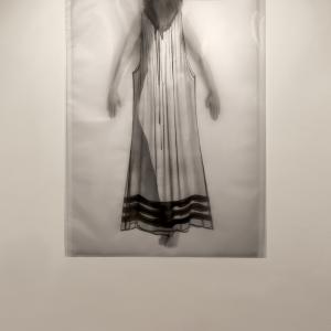 Plastic Bag Plastic Bag