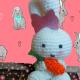 # Coniglietta amigurumi 18