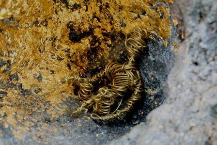 1° classificata al "Premio arte contemporanea 2010" con l'opera "Heaven of lava" 1° classificata al "Premio arte contemporanea 2010" con l'opera "Heaven of lava"